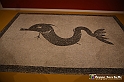 VBS_8967 - Mostra Invito a Pompei